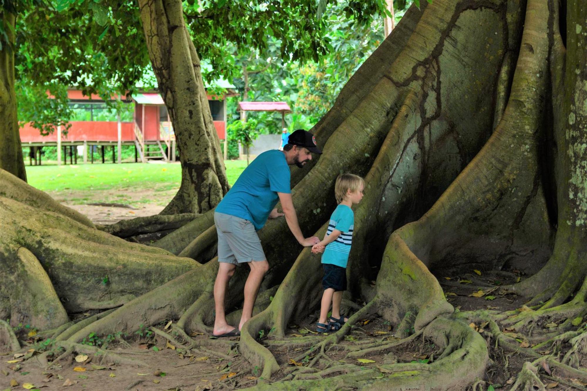 Avatar Amazon Lodge & Canopy Park Santa Teresa  Bagian luar foto
